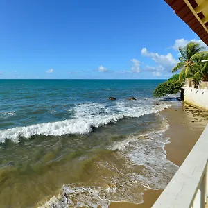 Lemon Tree Ocean Front , Rincon Puerto Rico